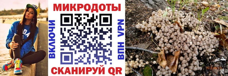 Галлюциногенные грибы Psilocybine cubensis  купить   Ярославль 